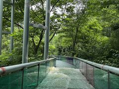 -本溪大峡谷