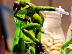 -蛙蛙叫干锅年代(簋街总店)