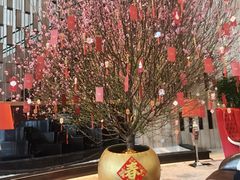 -圣丰索菲特·2 On 988 Café 自助餐厅