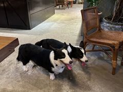 -自由生长植物工作室(深港花卉中心店)