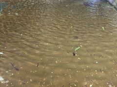 -伍山海滨石窟