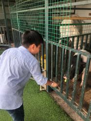-小蜜蜂农场(凯德七宝购物广场店)