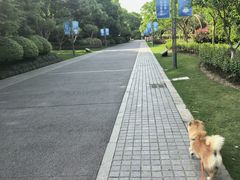 -杭州城北体育公园