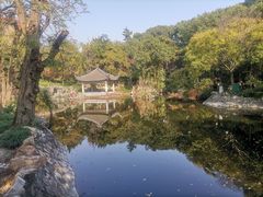 -叶家花园