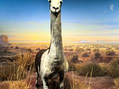 -陕西自然博物馆