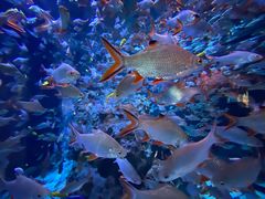 -成都浩海立方海洋公园