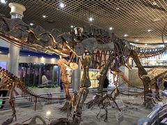 -国家自然博物馆