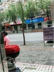 -金太子形象设计