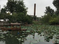 -茯茶镇