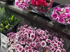 -鹿岛生活(熙地港店)