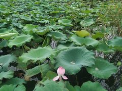 -雪浪山卡丁车俱乐部