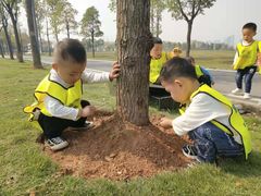 -瑞恩宝感统训练·语言提升·蒙氏托育中心