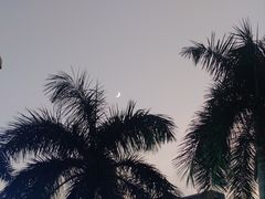 -番禺广场(市桥街道)