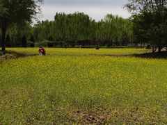 -北坞公园