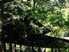 -楠溪江风景名胜区