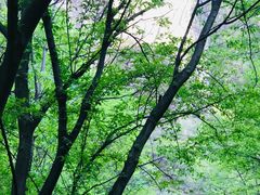 -孤山寨风景区