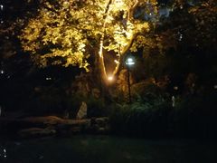 -静安公园(静安寺街道)