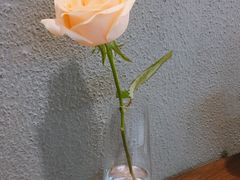 -1861意大利餐厅(文化广场店)