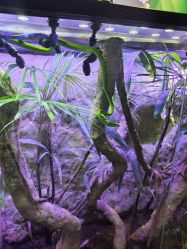 -酷嗒动物文化乐园(cutezoo西溪乐天城店)