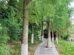-洋湖国家湿地公园
