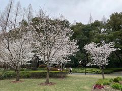 -徐家汇源景区-衡山公园