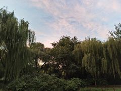 -北极寺公园