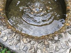 -太湖源风景区