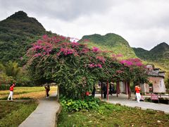 -靖西鹅泉风景区