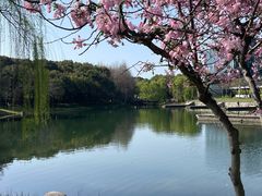 -巡塘古镇