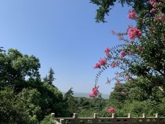 -狼山风景名胜区