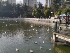 -MAP CHA普洱茶馆(翠湖店)