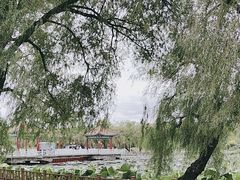 -长春市南湖公园