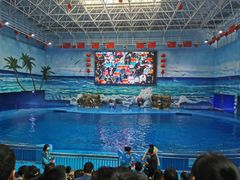 -多彩贵州城极地海洋世界