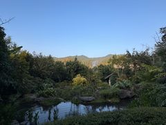 -腾冲洞山温泉村