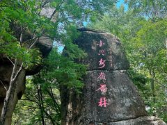 -汤旺河林海奇石景区