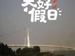 -海鸥岛