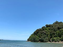 -怀希基岛