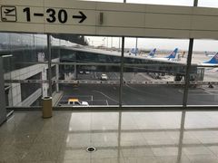 -乌鲁木齐天山国际机场-T3航站楼