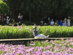 -龙头寺公园