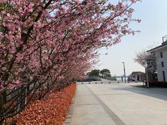 -石湖景区