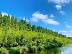 -黄海国家森林公园
