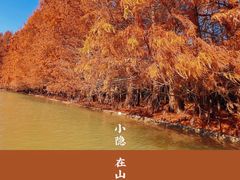 -上海海湾国家森林公园