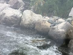 -宝天曼峡谷漂流