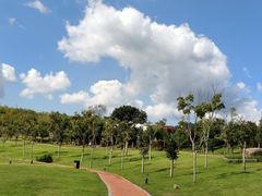 -牛岗山公园