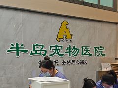 -半岛宠物医院24小时(科华中路店)