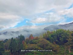 -塔川景区