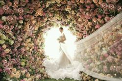 -麦莎MA3A摄影工作室(美兰金邸店)