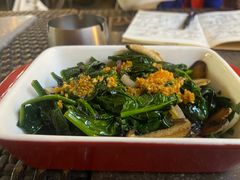 -haxnbauer海森堡德国餐厅(深圳coco店)