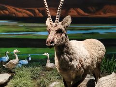 -中国湿地博物馆