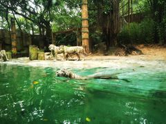 -广州长隆野生动物世界